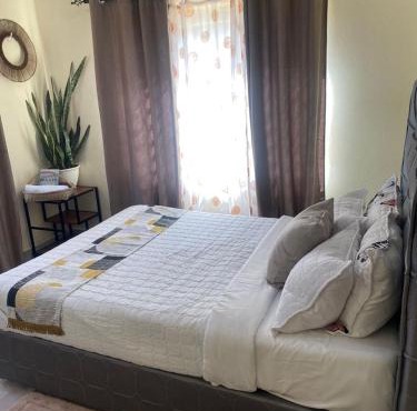Natulu Apartment Livingstone
