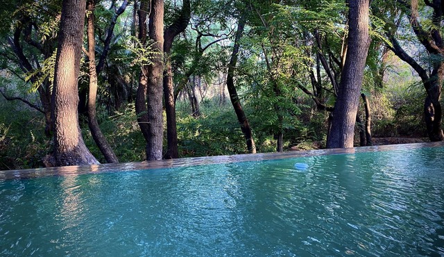 Nature and Wildlife Resort