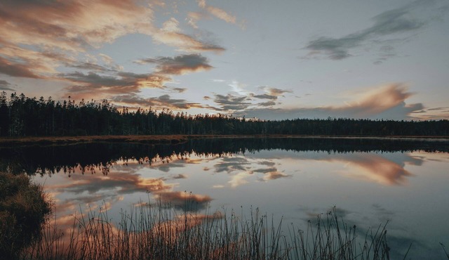 NorCal Lakehouse