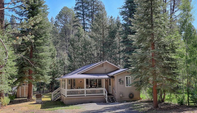 Only minutes to Heavenly, Cabin just steps to The River - Surround Yourself in Nature and Cozy Comfort!
