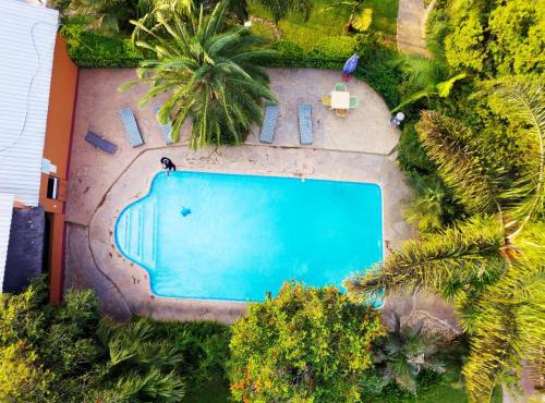 Palmwood Lodge