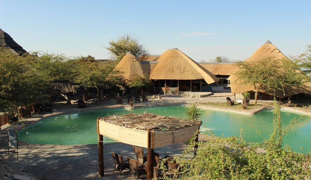 Pelican Lodge and Camping