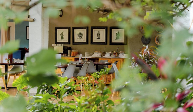 PheZulu Guest Lodge