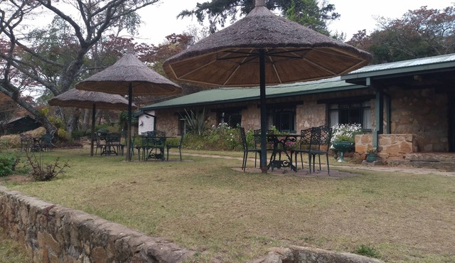 Pine Tree Inn