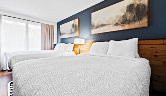 Renovated 2 Queen Suite Pet Friendly