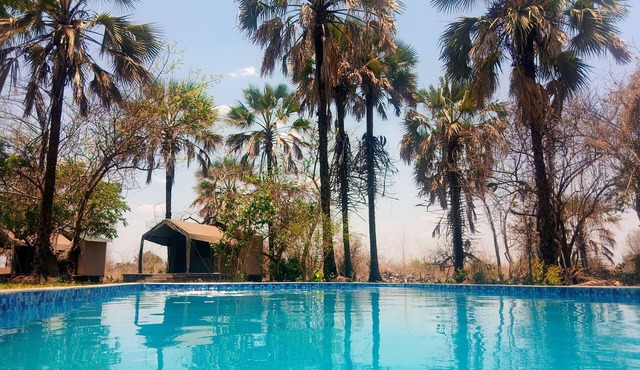 Royal South Luangwa Safaris Lodge