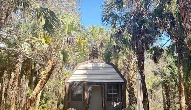 Secluded Off-the-Grid Cabin with Tropical Land Near Cocoa, Florida