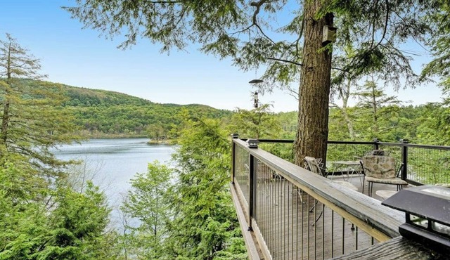 Spectacular dog-friendly lakefront house with washer/dryer & fast WiFi