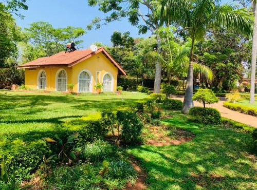 Sunny Yellow Chalet
