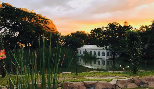 T3C GARDENS