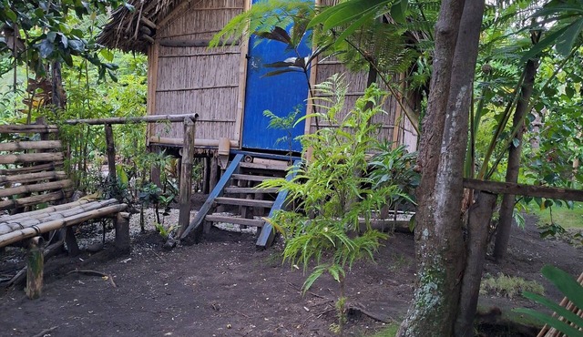 Tanna Chez Nous Bungalow and Tours