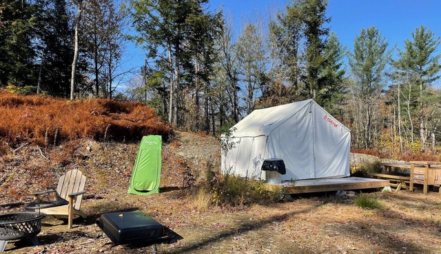 Tentrr Signature Site - Critter Creek Stowe Campsite