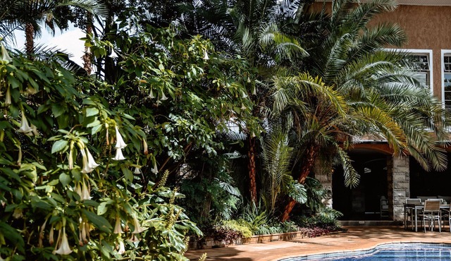 The 5* Sandalwood Lodge in Mount Pleasant - 2020