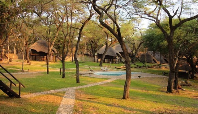 The Tree Lodge at Sikumi
