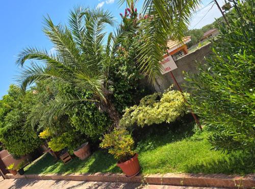 The Wild Thing Guesthouse