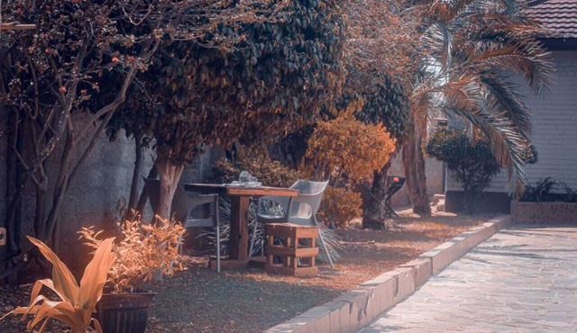 The Wild Thing Guesthouse