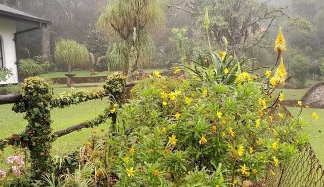 Vimbainashe Villa