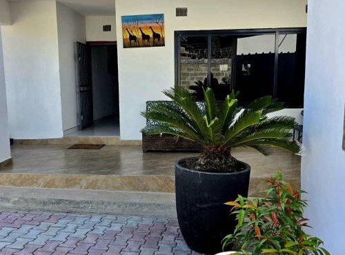 Zachi Zebra Apartment