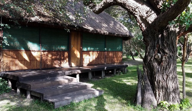 Zambezi River Private Serviced Self-catering Chalets & Camp Site