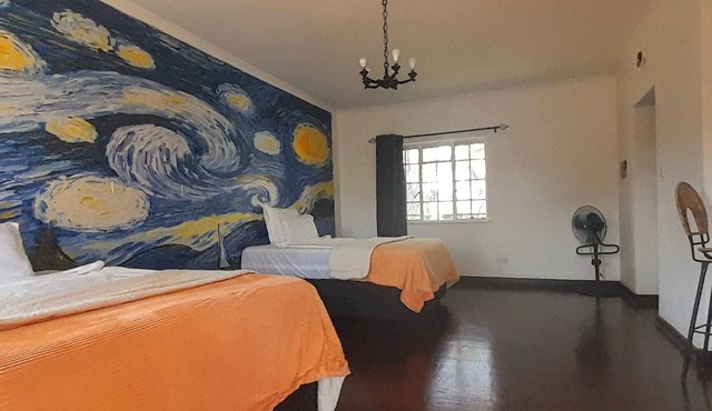Zebras Dazzle B&B | Van Gogh twin-room
