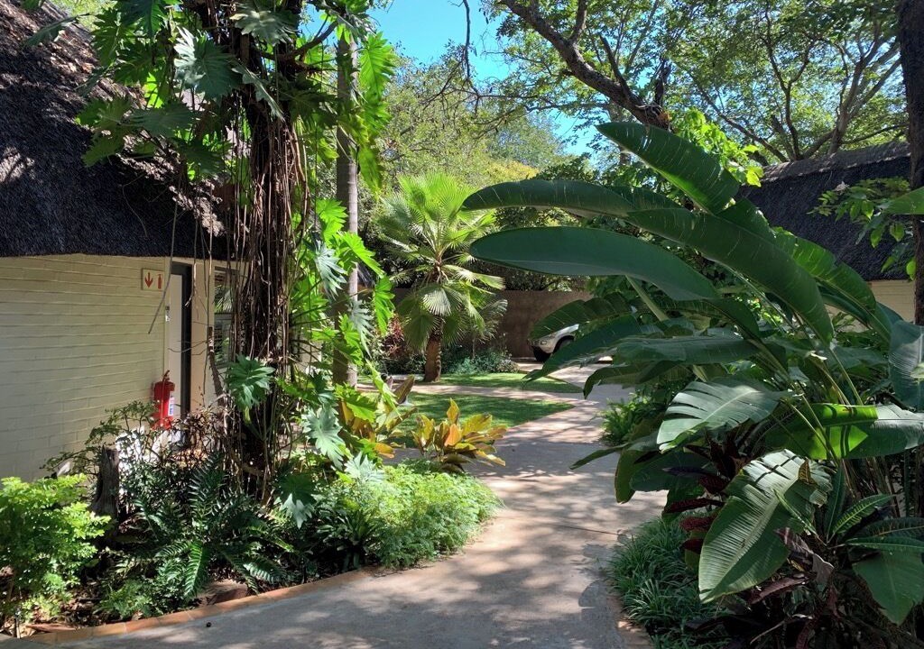 Photo of Outdoor in Victoria Falls