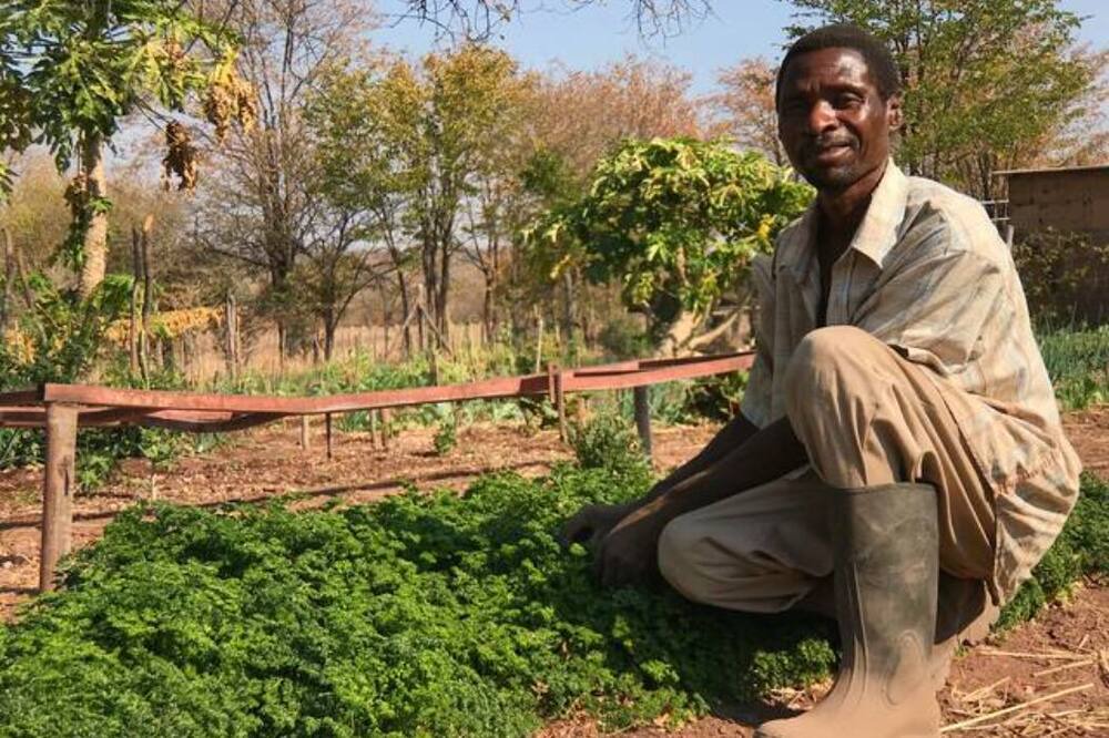 Photo of Human In Picture in Victoria Falls