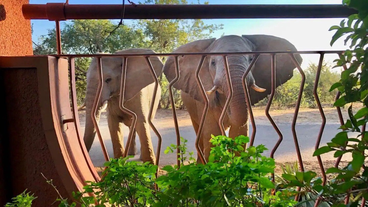 Photo of Outdoor in Victoria Falls