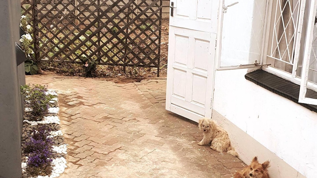 Photo of Outdoor in Harare