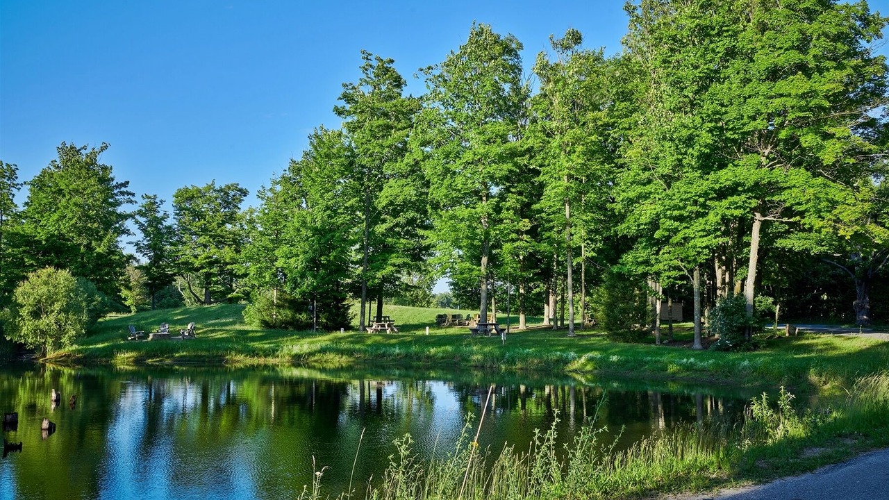 Photo of Outdoor in Fennville