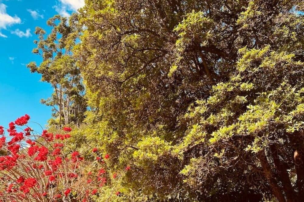 Photo of Outdoor in Harare