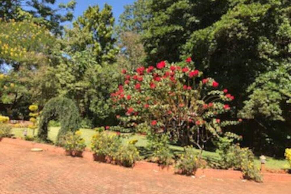 Photo of Outdoor in Harare