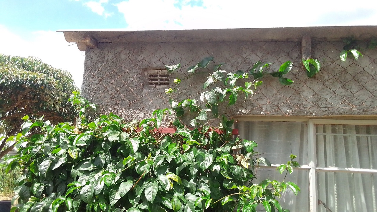 Photo of Outdoor in Chitungwiza