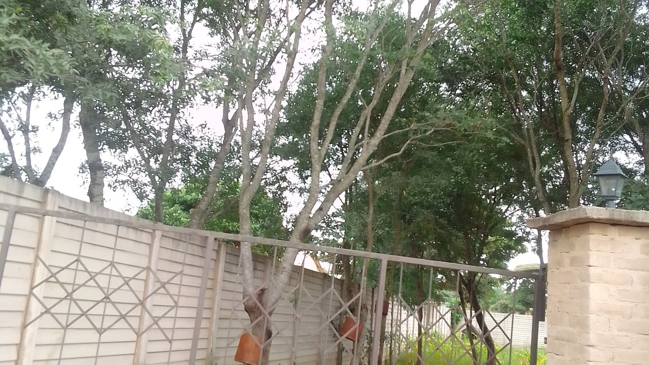 Photo of Outdoor in Chitungwiza
