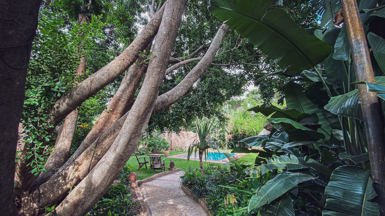 Photo of Outdoor in Victoria Falls