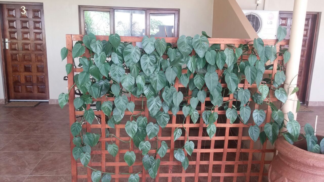 Photo of Patio Balcony in Kitwe