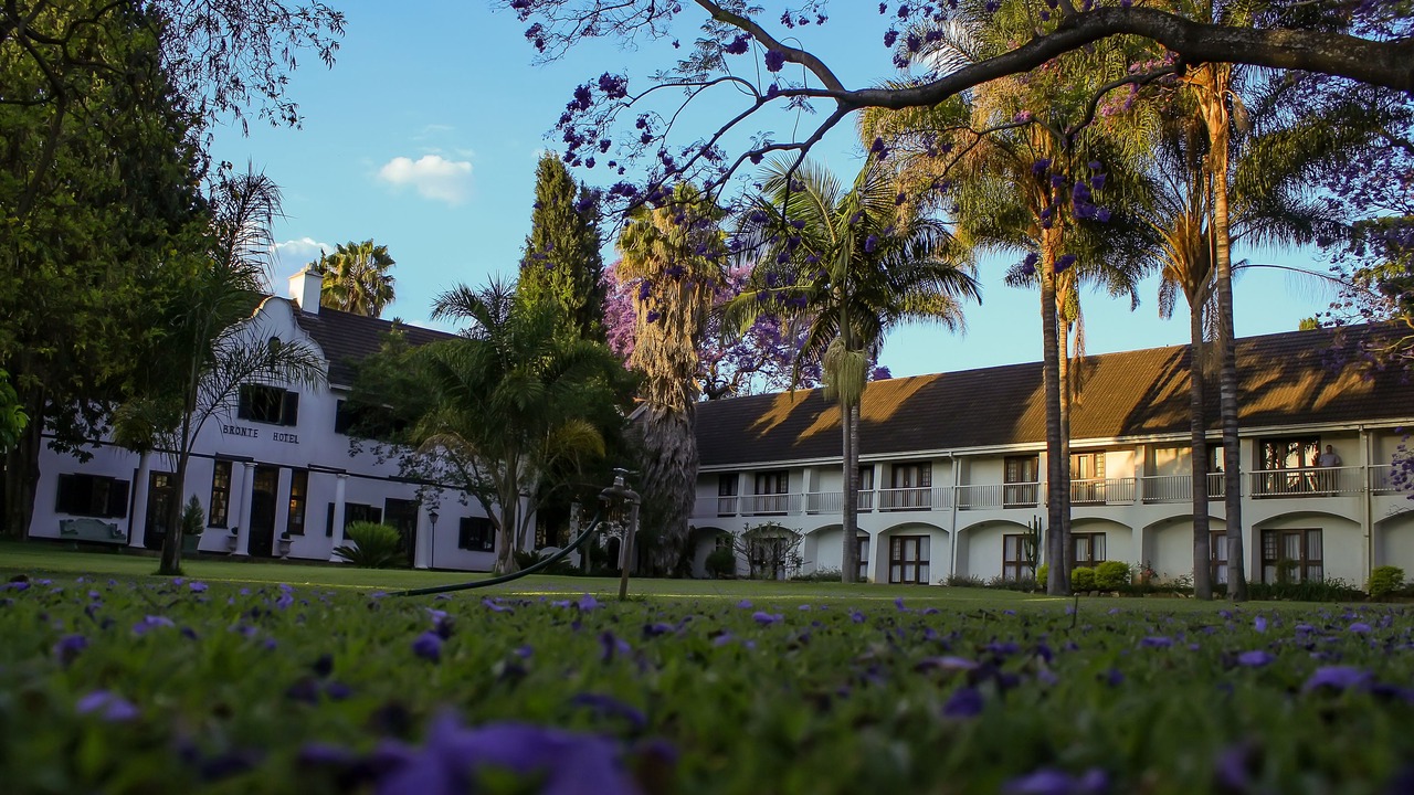 Photo of Outdoor in Harare