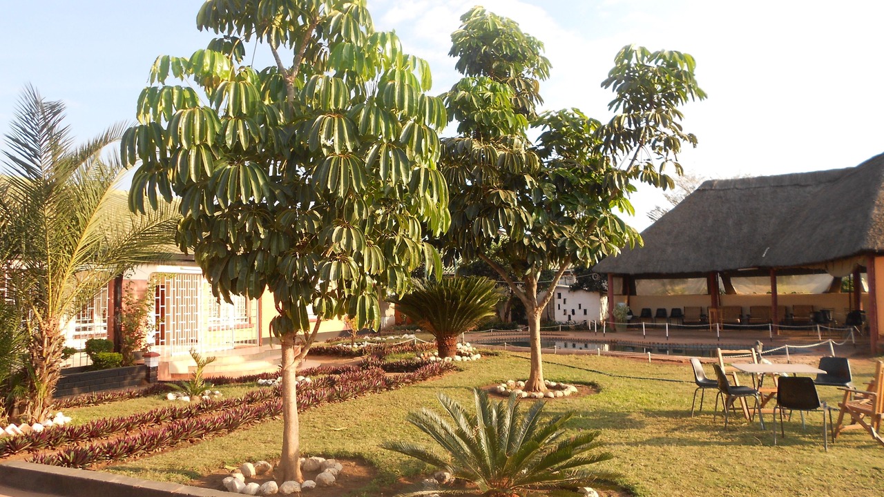 Photo of Outdoor in Livingstone