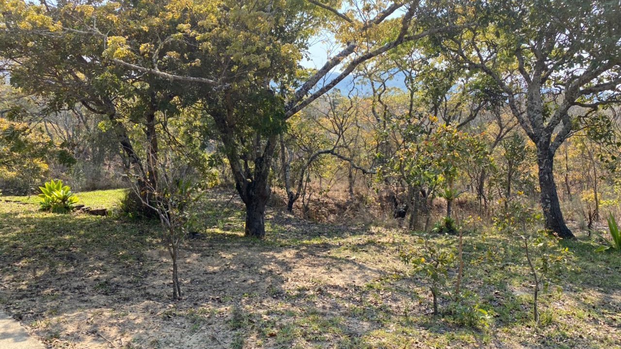 Photo of Outdoor in Nyanga