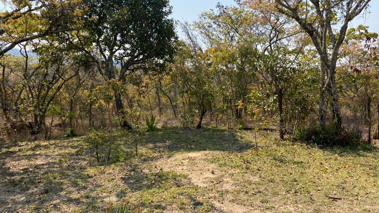 Photo of Outdoor in Nyanga