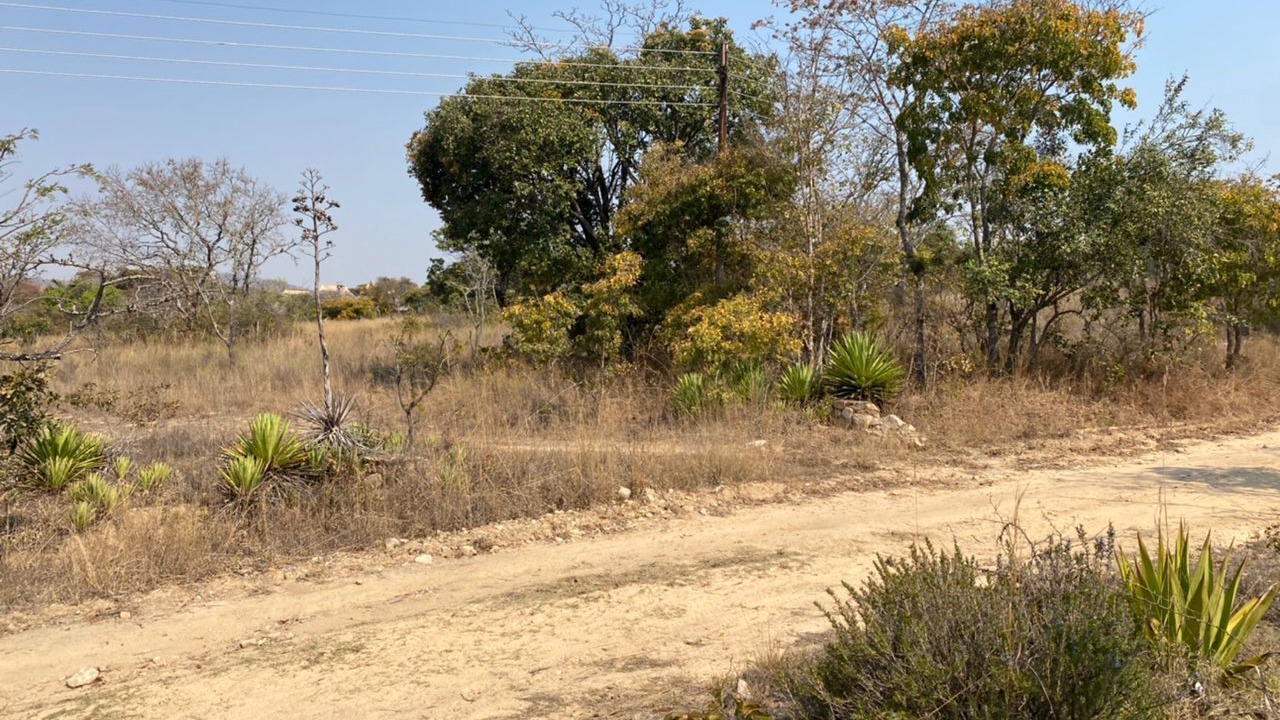 Photo of Outdoor in Nyanga