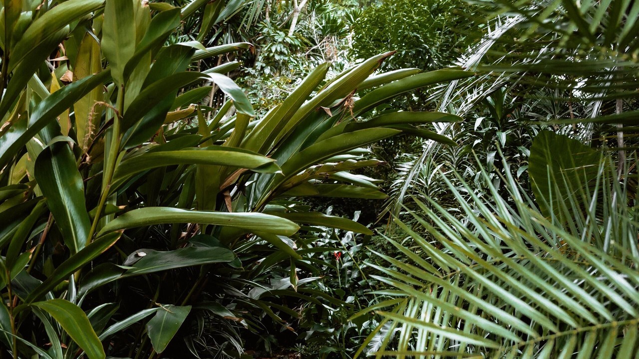 Photo of Outdoor in Harare