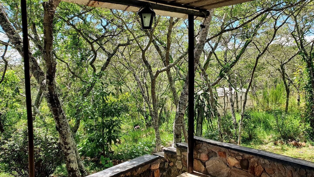 Photo of Outdoor in Juliasdale
