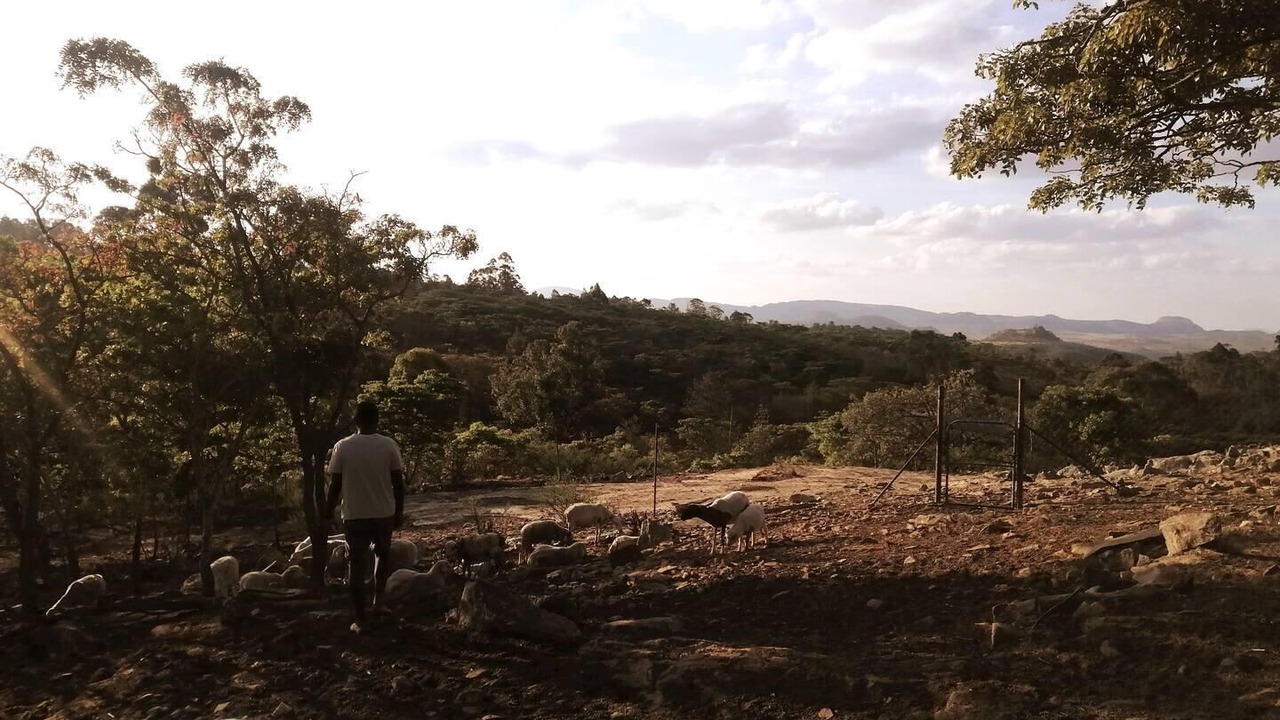 Photo of Outdoor in Juliasdale