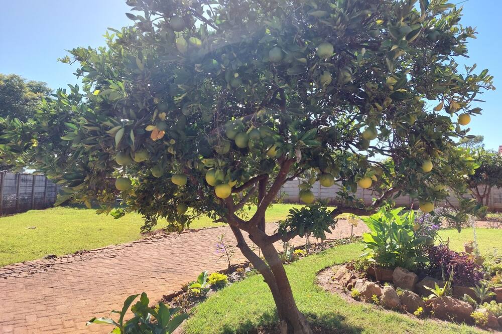 Photo of Outdoor in Bulawayo