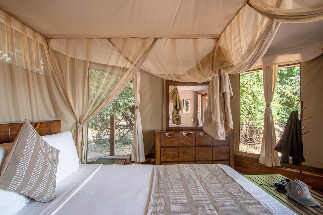 Photo of Others in South Luangwa National Park