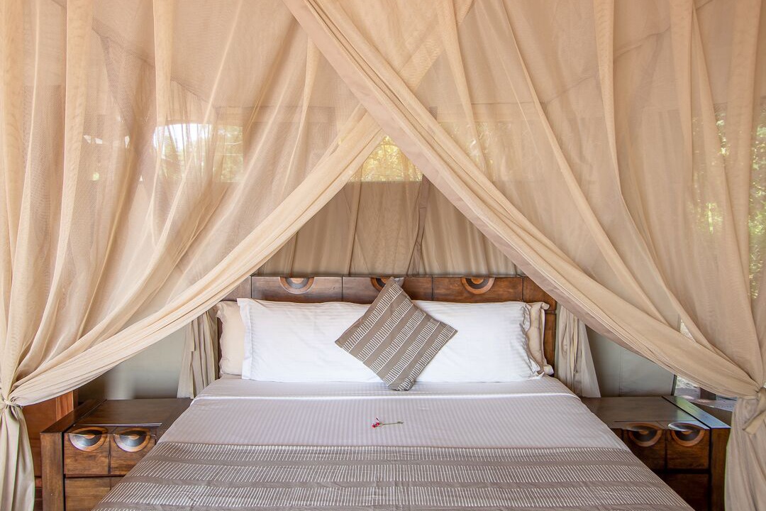 Photo of Others in South Luangwa National Park