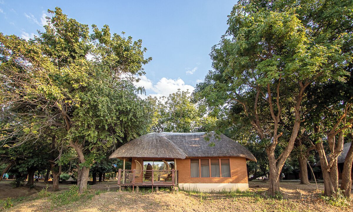 Photo of Others in South Luangwa National Park