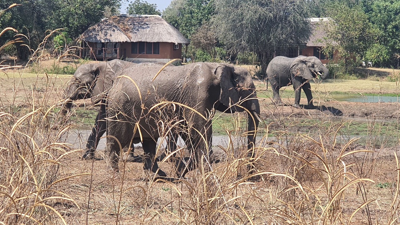 Photo of Outdoor in South Luangwa National Park