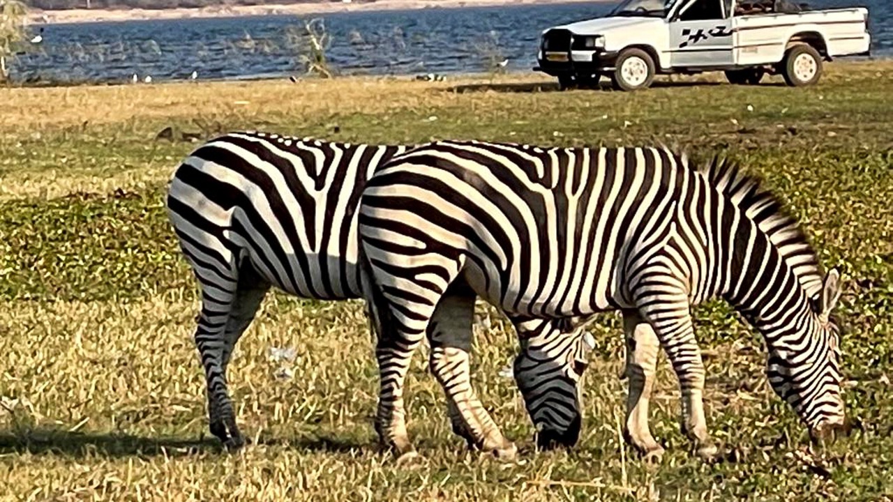 Photo of Others in Kariba