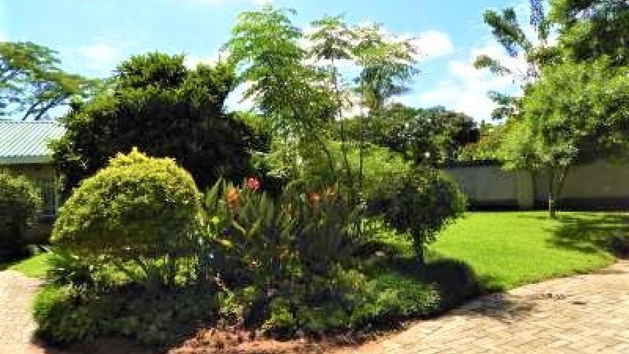 Photo of Others in Harare